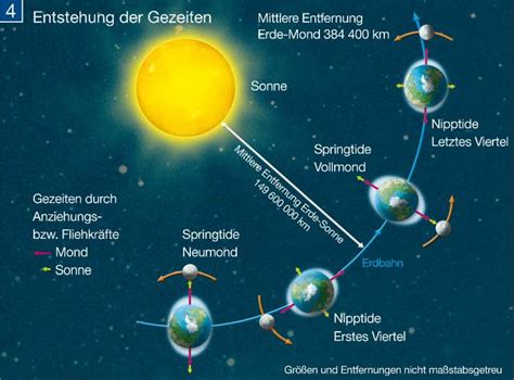 GEZEITEN UND SONNEN.